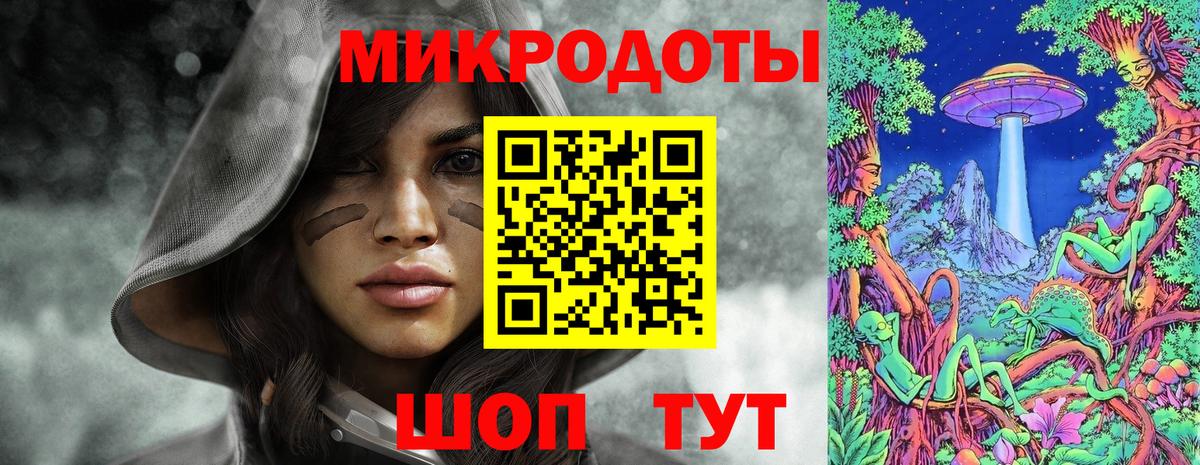 Нарткала  Псилоцибиновые грибы прущие грибы  Вход с VPN  Галлюциногенные грибы Psilocybe 
